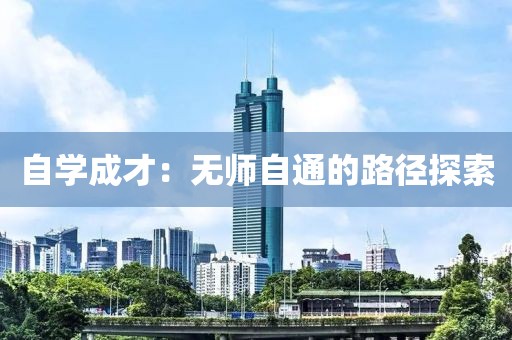 自学成才：无师自通的路径探索