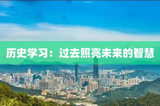 历史学习：过去照亮未来的智慧