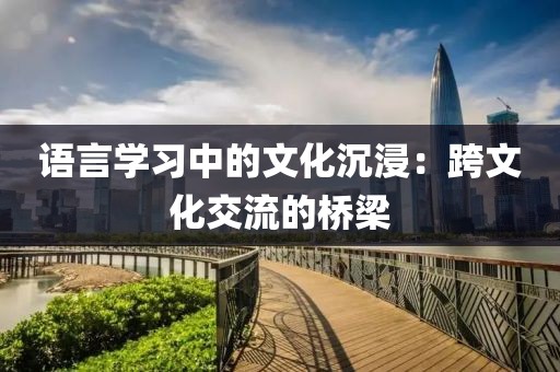 语言学习中的文化沉浸：跨文化交流的桥梁