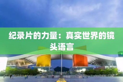 纪录片的力量：真实世界的镜头语言