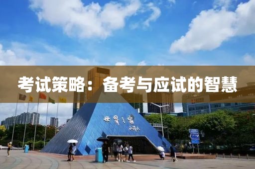 考试策略：备考与应试的智慧