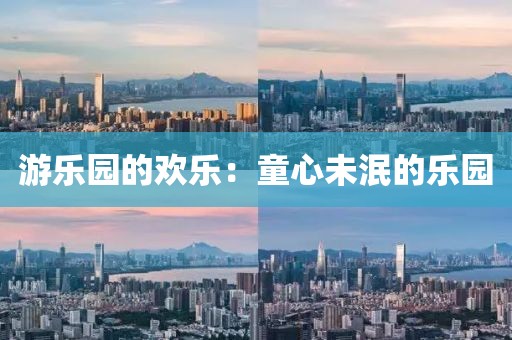 游乐园的欢乐：童心未泯的乐园