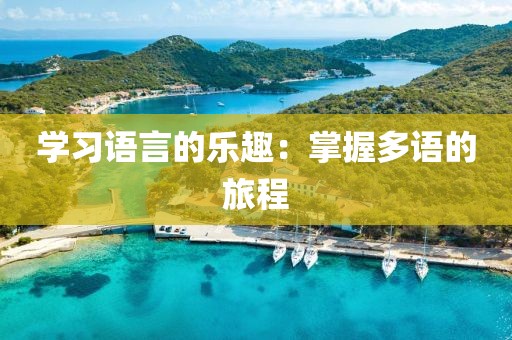 学习语言的乐趣：掌握多语的旅程