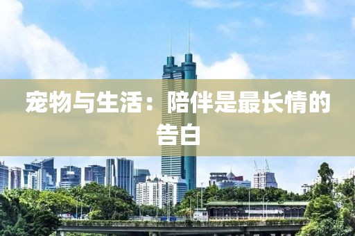 宠物与生活：陪伴是最长情的告白